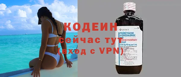 не бодяженный Алексин