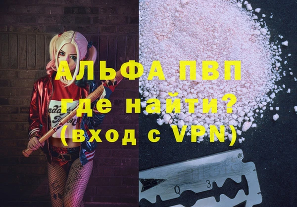 сатива Алзамай