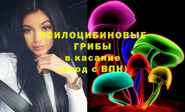 соль ск Алексеевка