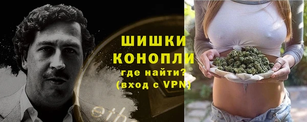 соль ск Алексеевка