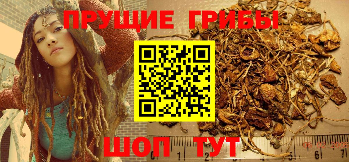 Россошь  где можно купить наркотик  Вход с VPN  Псилоцибиновые грибы Cubensis 